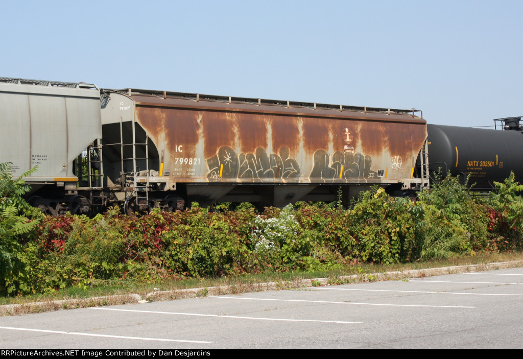 IC 799821